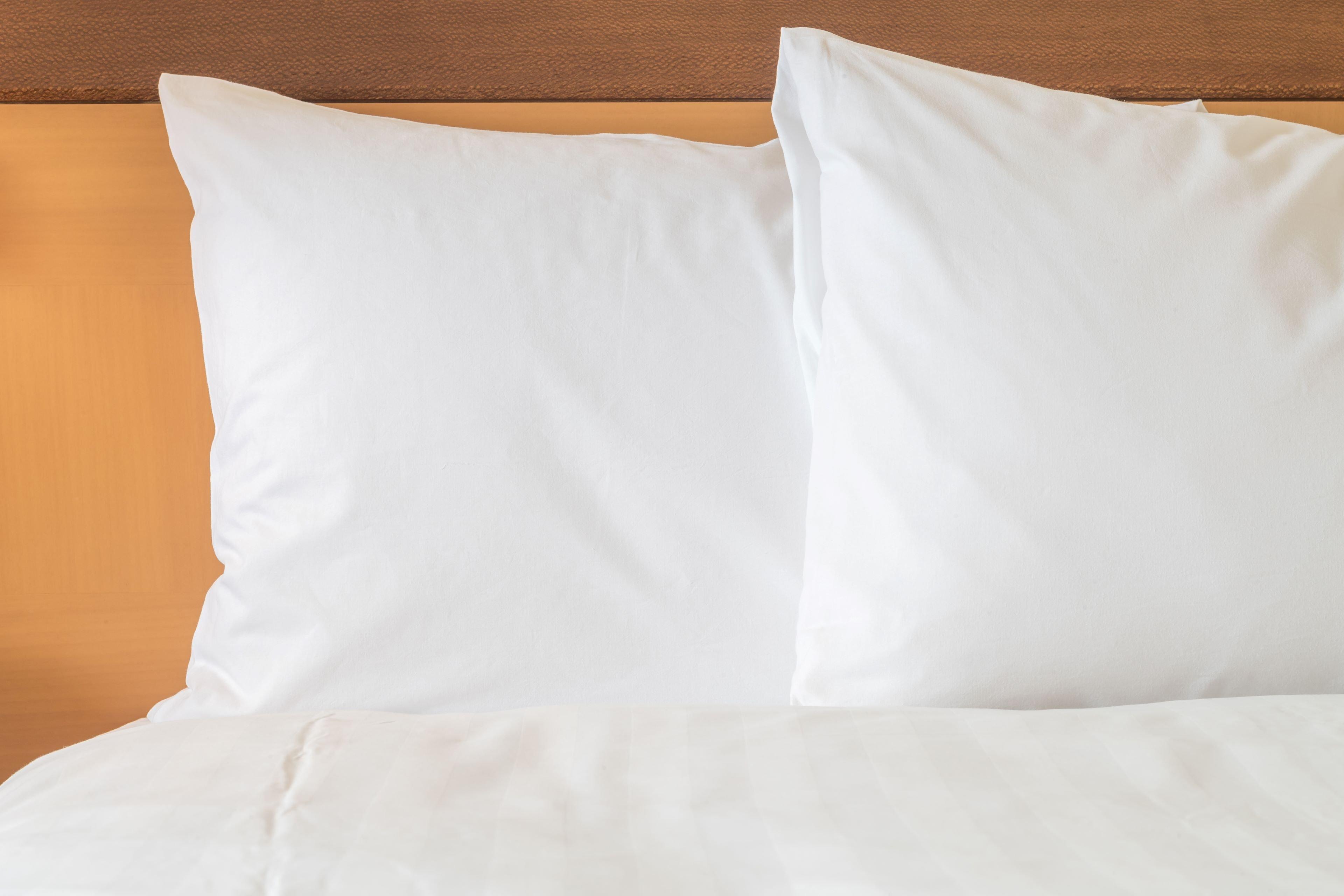 מלון Ana Crowne Plaza Yonago By Ihg מראה חיצוני תמונה